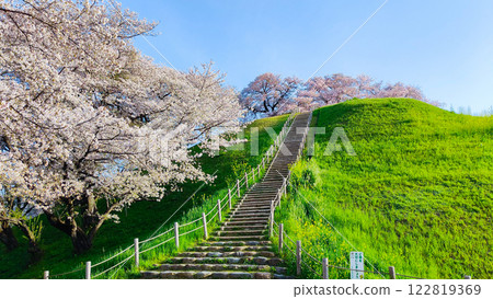 Marugameyama古墳（Sakitama Mound Tomb Park）的櫻花 122819369