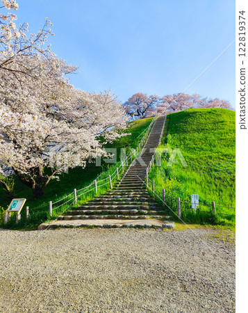 Marugameyama古墳（Sakitama Mound Tomb Park）的櫻花 122819374