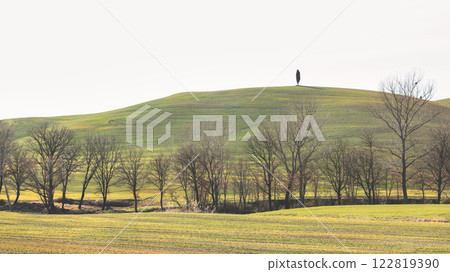 Typical landscape of Tuscany in Italy Europe Typical landscape of Tuscany in Italy Europe 122819390