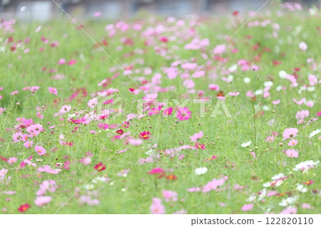  宇宙領域 122820110