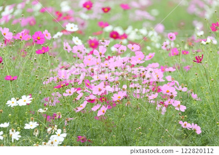  宇宙領域 122820112