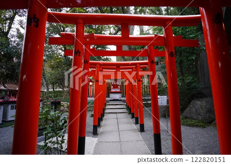 熱海市來宮神社 熱海市來宮神社 122820151