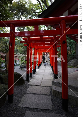 熱海市來宮神社 熱海市來宮神社 122820152