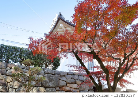 Beautiful autumn foliage at the national treasure Inuyama Castle (Inuyama City, Aichi Prefecture) 122820157