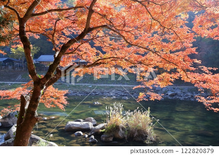 香嵐溪、巴川、紅葉(愛知縣豐田市) 香嵐溪、巴川、紅葉(愛知縣豐田市) 122820879