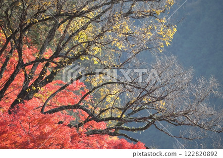 香蘭溪紅葉(愛知縣豐田市) 香蘭溪紅葉(愛知縣豐田市) 122820892