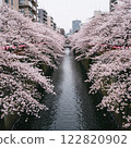 櫻 122820902