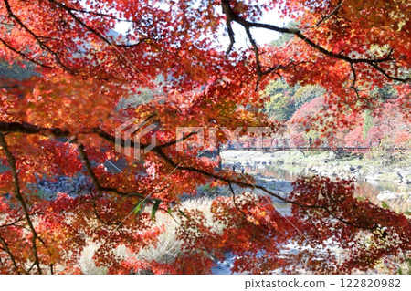 Korankei, Tomoe River, Autumn leaves (Toyota City, Aichi Prefecture) 122820982