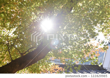 香蘭溪紅葉（愛知縣豐田市） 122820985