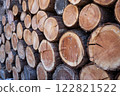 林業工地上堆積如山的原木景象令人印象深刻 林業工地上堆積如山的原木景象令人印象深刻 122821522