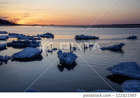 黃昏時分天鵝 2 號在流冰中穿梭 黃昏時分天鵝 2 號在流冰中穿梭 122821985