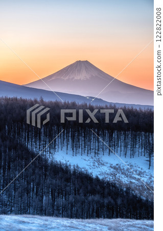 Nagano Prefecture: Mt. Fuji and snowy scenery seen from Kirigamine in the early morning 122822008
