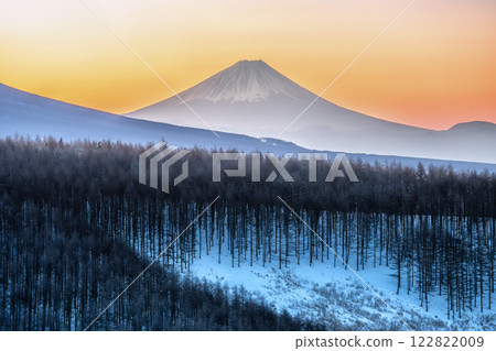 Nagano Prefecture: Mt. Fuji and snowy scenery seen from Kirigamine in the early morning 122822009