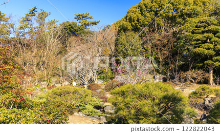 Winter at Hayama Shiosai Park 122822043