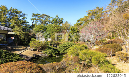 Winter at Hayama Shiosai Park 122822045