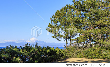 葉山潮騷公園的冬天 葉山潮騷公園的冬天 122822049