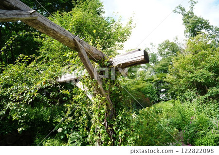 Pergola Pergola 122822098