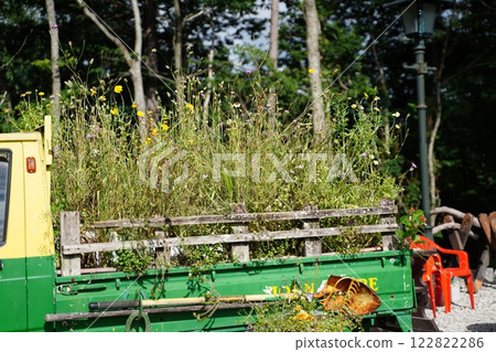 雜草叢生的卡車 雜草叢生的卡車 122822286