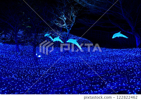 2025 Nara Rurie: Dolphins jumping over the blue lit sea 122822462
