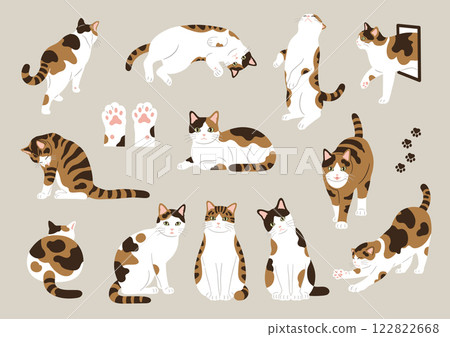雜色貓插畫素材集 122822668