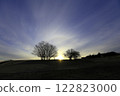 Marigold Hill 122823000