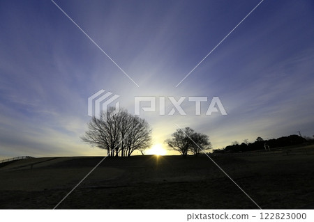 Marigold Hill 122823000