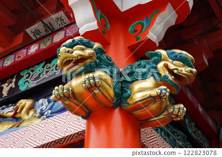 神田肌球蛋白 神田肌球蛋白 122823078