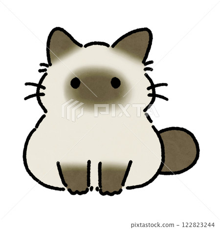 Siamese cat illustration Siamese cat illustration 122823244