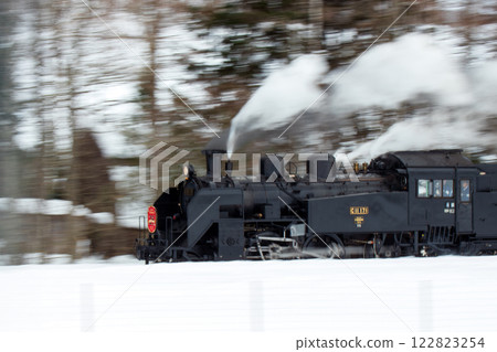 Panning shot of the Wetlands in winter 2025 122823254