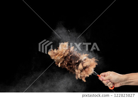 Old Traditional Feather Duster stick made from Chicken to clean house dust and web. Room Ceiling and window covered with dust bunnies, cobweb. Black background isolated Old Traditional Feather Duster stick made from Chicken to clean house dust and web. Room Ceiling and window covered with dust bunnies, cobweb. Black background isolated 122823827