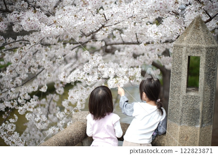 在石橋上賞櫻花的女孩們 122823871