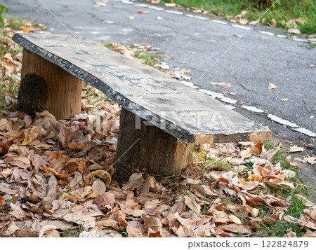 Calm park trail with natural wooden bench surrounded by autumn foliage Calm park trail with natural wooden bench surrounded by autumn foliage 122824879