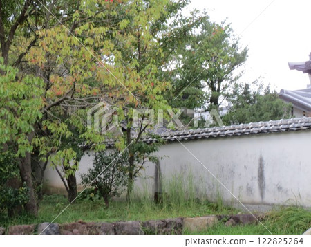 2014年,香川縣,高松,屋島,風景,寺廟,屋島寺,第82號 2014年,香川縣,高松,屋島,風景,寺廟,屋島寺,第82號 122825264