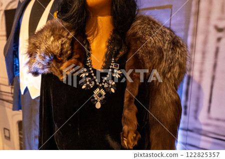 Silver fox skin on shoulders coat mantle. Animal fur in clothes. Silver fox skin on shoulders coat mantle. Animal fur in clothes. 122825357