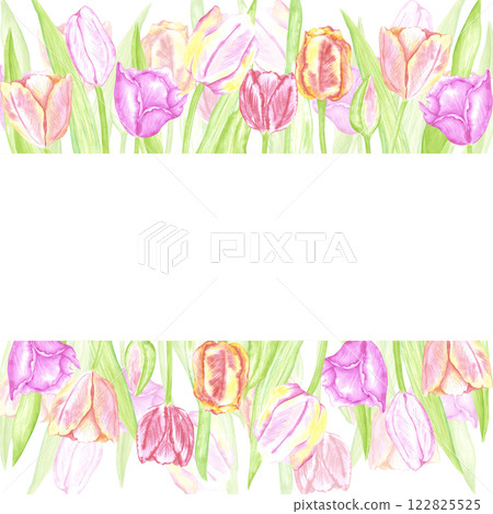 Hand drawn watercolor delicate tulips with green leaves frame border. Illustration of flowers isolated on white background. Can be used for postcard, invitation, scrapbook and other printed products. Hand drawn watercolor delicate tulips with green leaves frame border. Illustration of flowers isolated on white background. Can be used for postcard, invitation, scrapbook and other printed products. 122825525
