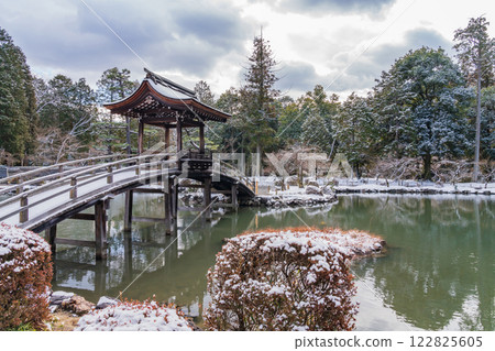 Snow-covered Eihoji Temple (Tajimi City, Gifu Prefecture) 122825605
