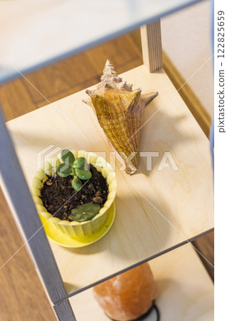 Shot of the decorative, stylish shelf in the apartment 122825659