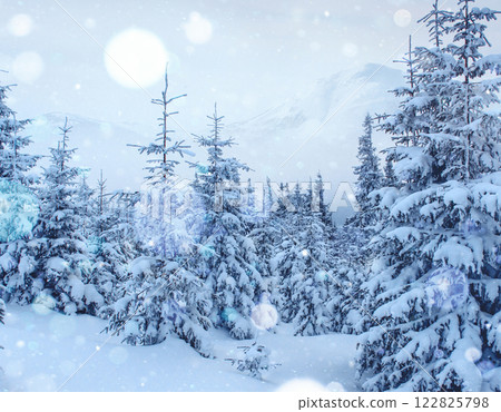Mysterious winter landscape majestic mountains in winter. Magical winter snow covered tree. Photo greeting card. Bokeh light effect, soft filter. Carpathian. Ukraine. Europe 122825798