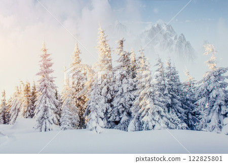 Fantastic winter landscape. On the eve of the holiday. The dramatic scene. Carpathian, Ukraine, Europe. Happy New Year Fantastic winter landscape. On the eve of the holiday. The dramatic scene. Carpathian, Ukraine, Europe. Happy New Year 122825801