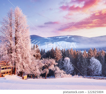 Amazing mountains in the morning sunlight. Small cozy village. Carpathian, Ukraine, Europe. Beauty world. Happy New Year 122825804
