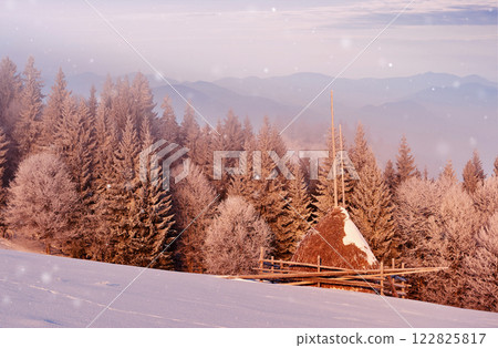 Sunny morning scene in the mountain forest. Bright winter landscape in the snowy wood, Happy New Year celebration concept Sunny morning scene in the mountain forest. Bright winter landscape in the snowy wood, Happy New Year celebration concept 122825817