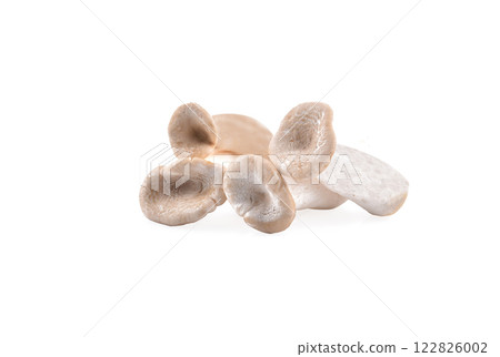 oyster mushroom isolated on white background 122826002