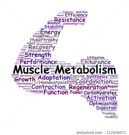 Muscle Metabolism Word Cloud 122826071
