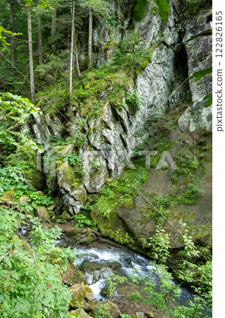 Mountain river rock in the forest. Green nature. 122826165