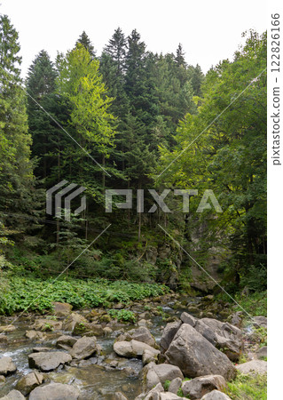 Mountain river rock in the forest. Green nature. Mountain river rock in the forest. Green nature. 122826166