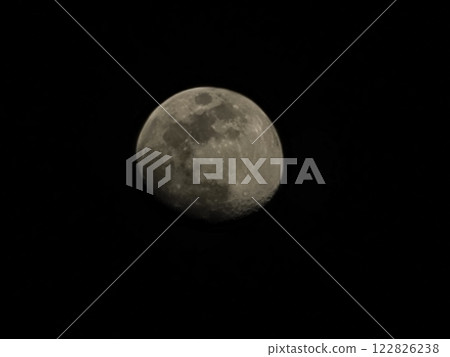 2025/02/09 星期一 122826238