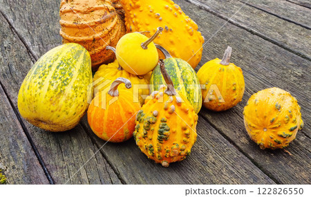 Squashes and pumpkins 122826550