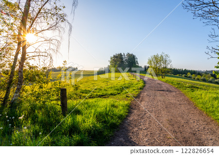 A tranquil rural road stretches through verdant fields under a bright blue sky. Sunlight filters through trees, creating a serene atmosphere perfect for leisurely walks or cycling. A tranquil rural road stretches through verdant fields under a bright blue sky. Sunlight filters through trees, creating a serene atmosphere perfect for leisurely walks or cycling. 122826654