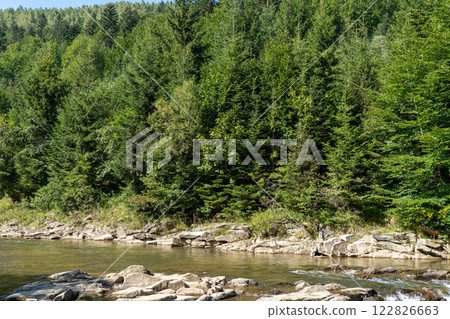 Green pine forest Mountain river. Flow of water over stones. Green pine forest Mountain river. Flow of water over stones. 122826663