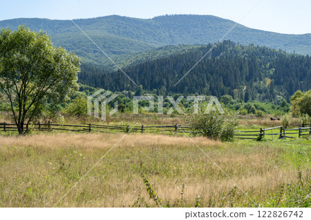 Mountains ranges in the Carpathians. Hills, forest and meadows Mountains ranges in the Carpathians. Hills, forest and meadows 122826742